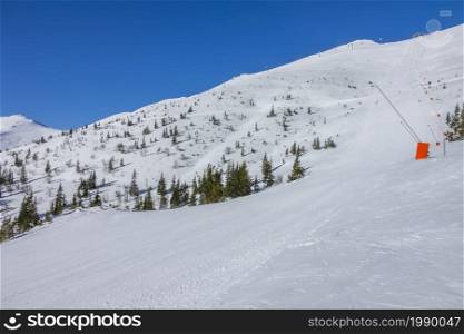 Slovakia. Winter ski resort Jasna. Sunny weather and blue sky over an empty ski slope. Rare spruces in the snow on the mountainside. Sunny Weather Over an Empty Ski Slope and Rare Spruces