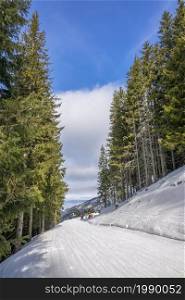 Slovakia. Winter ski resort Jasna. Sunny weather on a narrow ski slope among giant spruces. Sunny Weather on a Narrow Ski Slope Among Spruces