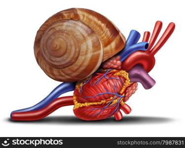 Slow heart rate concept as a snail shell on human anatomy from an unhealthy body as a medical health care symbol of problems with the inner cardiovascular organ.