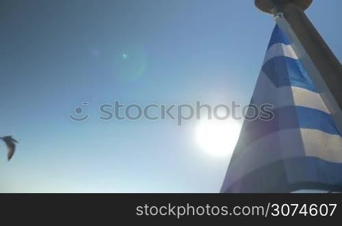 Slow motion low angle and close-up shot of a Greek flag fluttering in the wind on background of blue sky and bright sunshine, seagull flying by