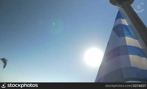 Slow motion low angle and close-up shot of a Greek flag fluttering in the wind on background of blue sky and bright sunshine, seagull flying by