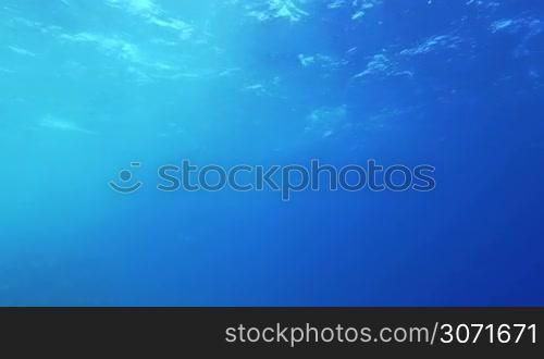 Slow motion of clear blue sea water. View from the depth. Wavy surface sparkling in sun light coming through it