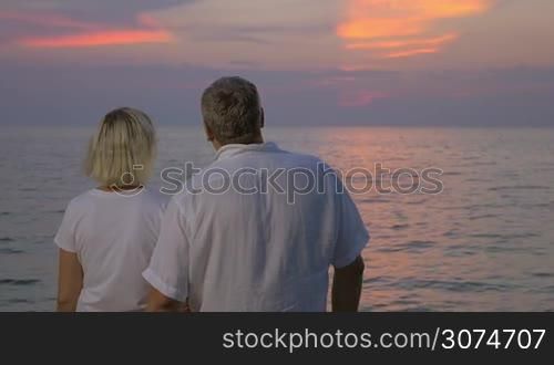Slow motion of senior couple embracing each other while enjoying beautiful seascape and sunset, back view. Always together