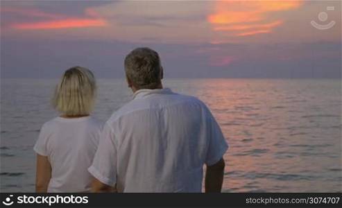 Slow motion of senior couple embracing each other while enjoying beautiful seascape and sunset, back view. Always together
