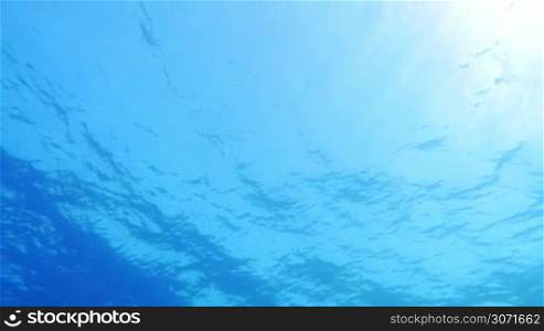Slow motion shot of a calm sea surface made underwater in sunny day.