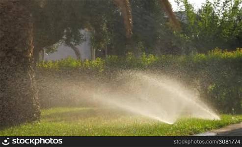 Slow motion shot of automatic sprinkling system watering green lawn in the garden on sunny summer day