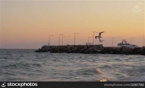 Slow motion shot of seagulls flying over wavy sea. Sunset marine scene with quay and rocky pier