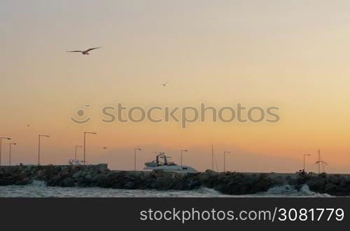 Slow motion shot of wavy sea crushing rocky pier of the quay with following view to the seagull against sunset sky