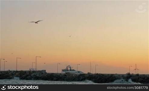 Slow motion shot of wavy sea crushing rocky pier of the quay with following view to the seagull against sunset sky