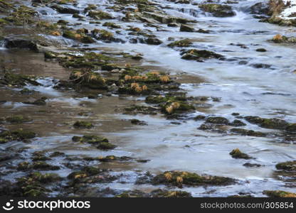 Slow river with rocky path