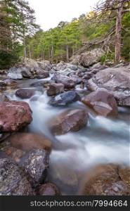 Slow shutter image of the Asco river as it passes though the Asco valley in Corsica with colourful boulders in foreground and pine trees in the background
