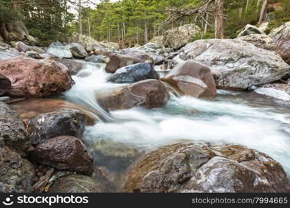 Slow shutter image of the Asco river as it passes though the Asco valley in Corsica with colourful boulders and pine trees in the background