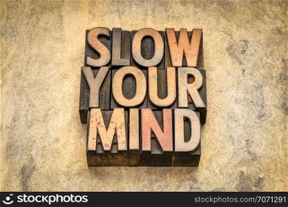 slow your mind advice - word abstract in vintage letterpress wood type against handmade bark paper