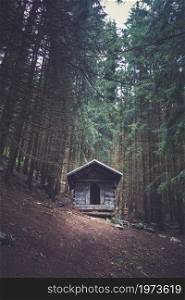 Small abandoned wooden cabin in a deep dark fir forest. Small wooden cabin in a dark fir forest