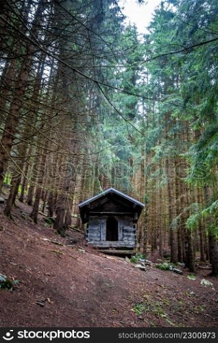 Small abandoned wooden cabin in a deep dark fir forest. Small wooden cabin in a dark fir forest