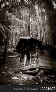 Small abandoned wooden cabin in a deep dark fir forest. Black and white. Small wooden cabin in a dark fir forest. Black and white