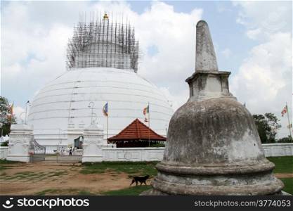 Small and big stupas in Tissamaharama in Sri Lanka