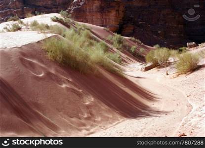 Small barchan in sand desert Wadi Rum, Jordan