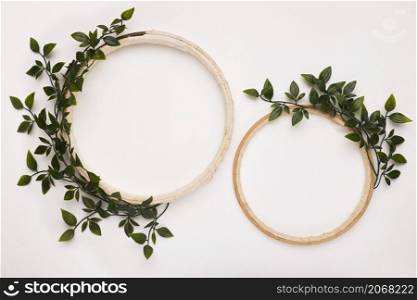 small big wooden circular frame with green leaves white backdrop