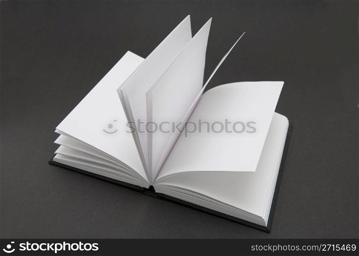 Small black book open with blank pages