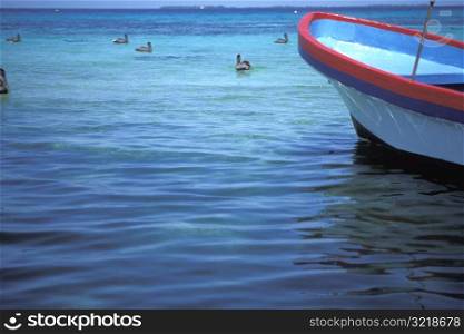 Small Boat in the Water with Pelicans