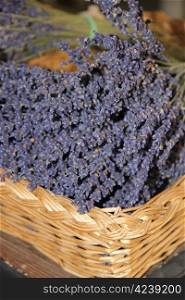 Small bouquets of lavender for sale in a wicker basket