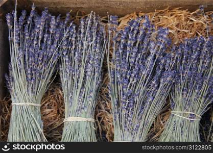 Small bouquets of lavender for sale in the Provence, France
