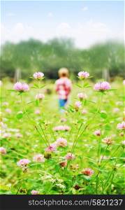 Small boy playing on a summer meadow