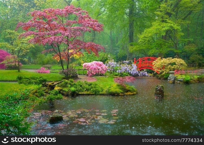 Small bridge in Japanese garden in rain, Park Clingendael, The Hague, Netherlands. Japanese garden, Park Clingendael, The Hague, Netherlands