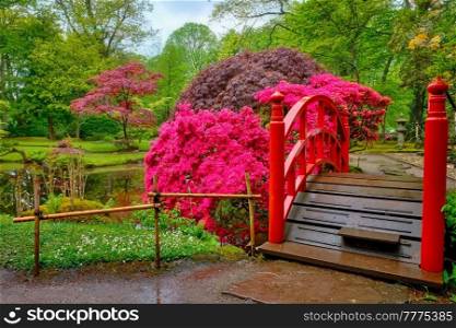 Small bridge in Japanese garden, Park Clingendael, The Hague, Netherlands. Japanese garden, Park Clingendael, The Hague, Netherlands