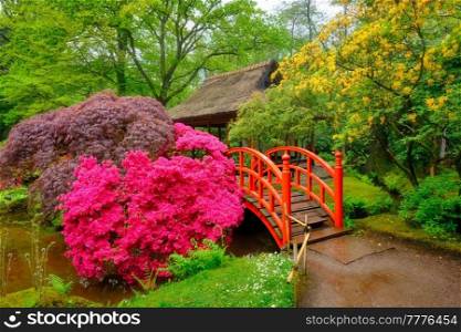 Small bridge in Japanese garden, Park Clingendael, The Hague, Netherlands. Japanese garden, Park Clingendael, The Hague, Netherlands