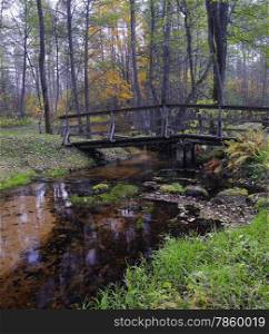Small bridge over a creek in misty autumn forest