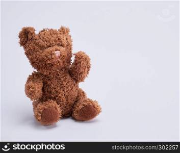 small brown teddy bear on a white background, copy space