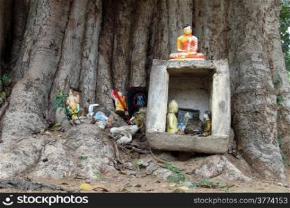 Small buddhist shrine with Buddhas under big tree