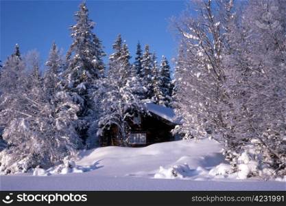 Small cabin surrounded by snow trees in blue sky in winter