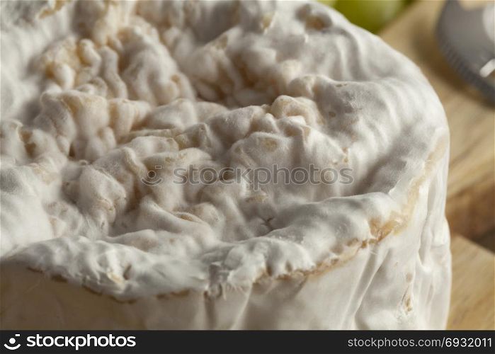 Small camembert cheese close up on a cheese board