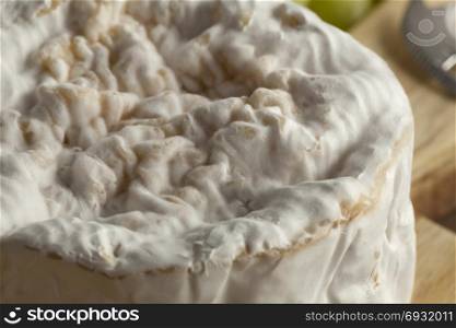 Small camembert cheese close up on a cheese board