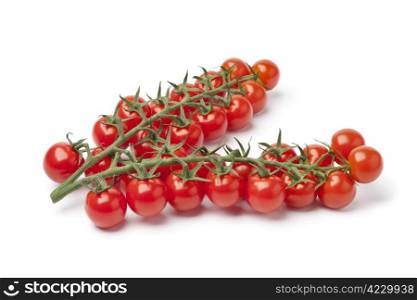 Small cherry tomatoes on a vine on white background