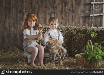 Small children play among the hay.. The children sit among the hay in the boxes 6090.