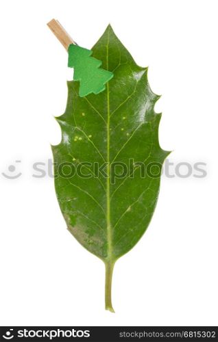 Small clothes pin with a christmas tree on a leaf (butchers broom), isolated