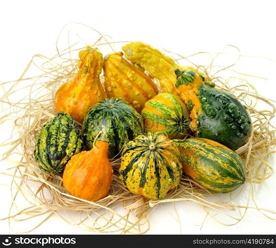Small Colorful Gourds Collection