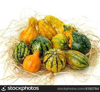 Small Colorful Gourds Collection