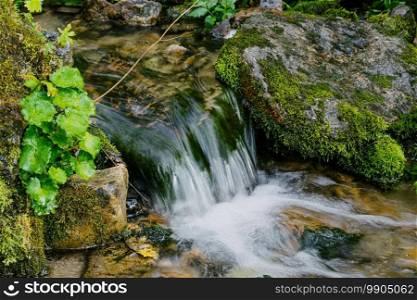 Small cozy waterfall in forest on sunny day. Mountain river falls from cliff onto rocks, rushing stream of water.