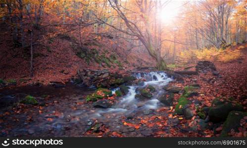 Small creek at autumn color forest. Autumn forest panorama. Smoky mountains national park, USA