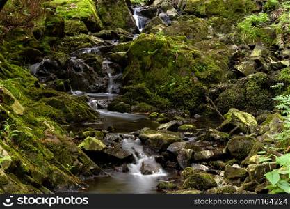 Small creek in the Harz, long exposure. Small stream