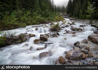 Small creek within the Rocky Mountains close to Lake Louise, Banff National Park, Alberta, Canada