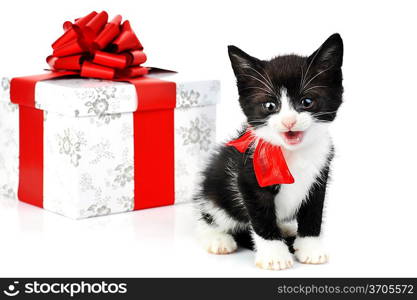 small cute kitten near gift box