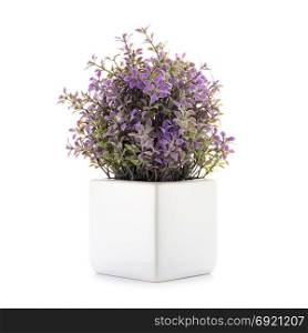 Small decorative plant in a ceramic vase isolated on white background.