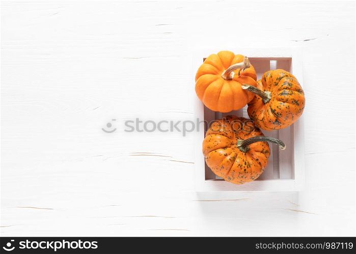 Small decorative pumpkins on white wooden background. Autumn, fall, thanksgiving or halloween day concept, flat lay, top view, copy space