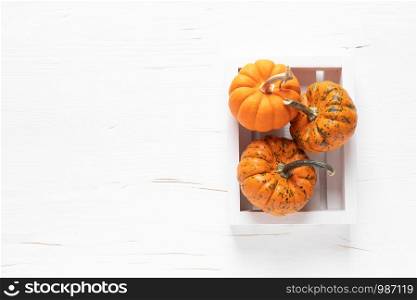Small decorative pumpkins on white wooden background. Autumn, fall, thanksgiving or halloween day concept, flat lay, top view, copy space